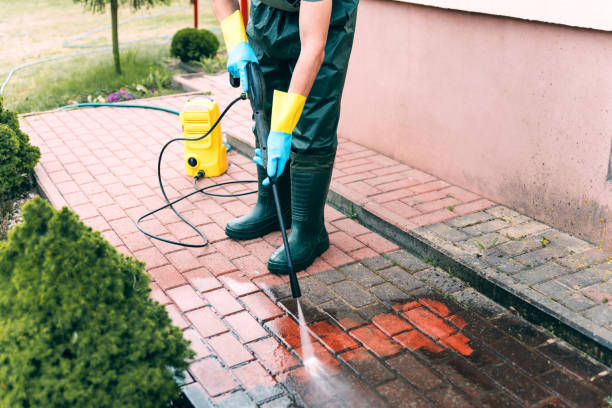 Best Solar Panel Cleaning  in West Milton, OH